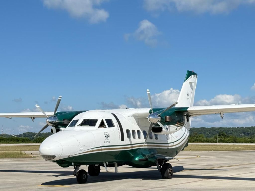 Chiapas activa medidas para proteger su ganadería ante gusano&nbsp;barrenador